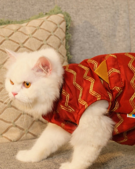 Jashn Crimson Red Cat Sherwani