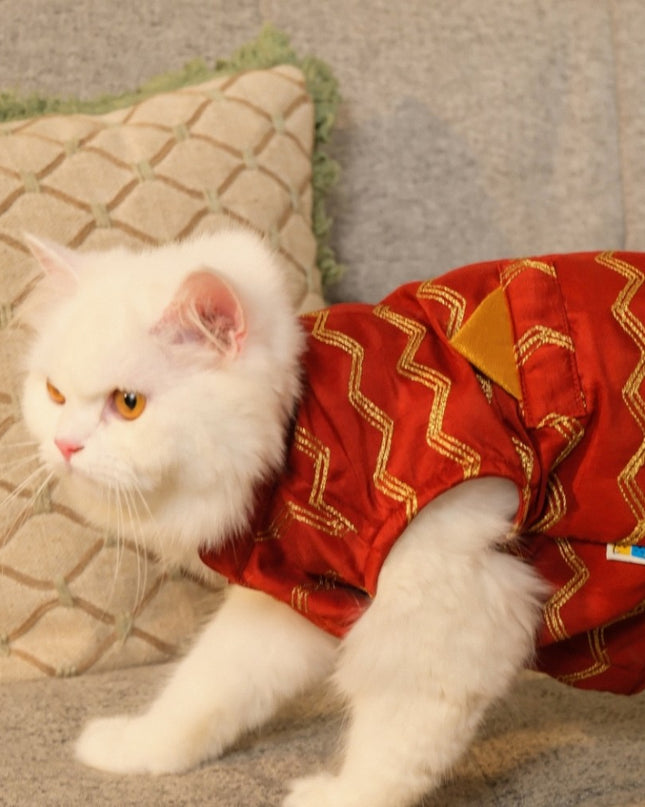 Jashn Crimson Red Cat Sherwani