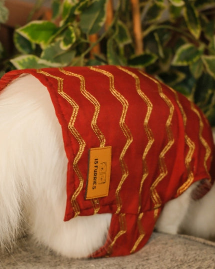 Jashn Crimson Red Cat Sherwani