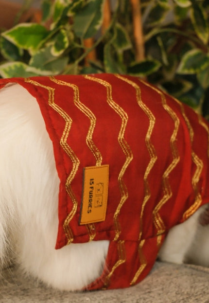 Jashn Crimson Red Cat Sherwani