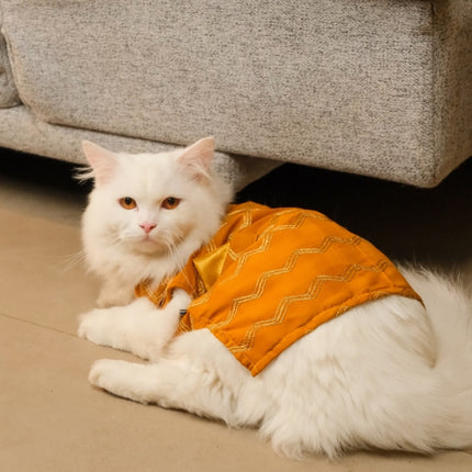 Collection image for: Cat Sherwani