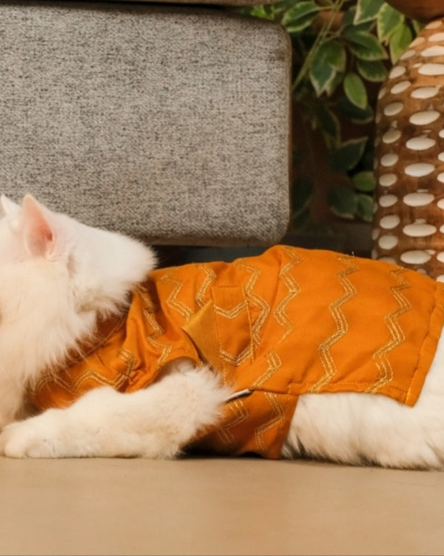 Jashn Mustard Cat Sherwani
