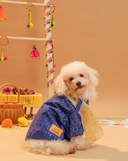 FURWALI FESTIVE DOG KURTA WITH DUPATTA- ROYAL BLUE