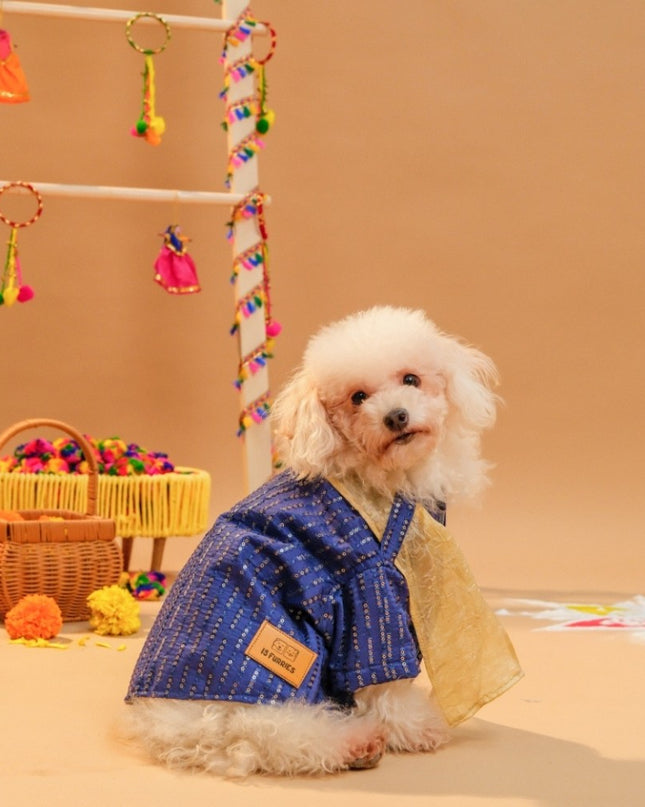 FURWALI FESTIVE DOG KURTA WITH DUPATTA- ROYAL BLUE