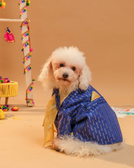 FURWALI FESTIVE DOG KURTA WITH DUPATTA- ROYAL BLUE