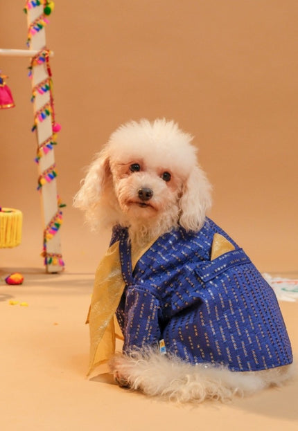 FURWALI FESTIVE DOG KURTA WITH DUPATTA- ROYAL BLUE