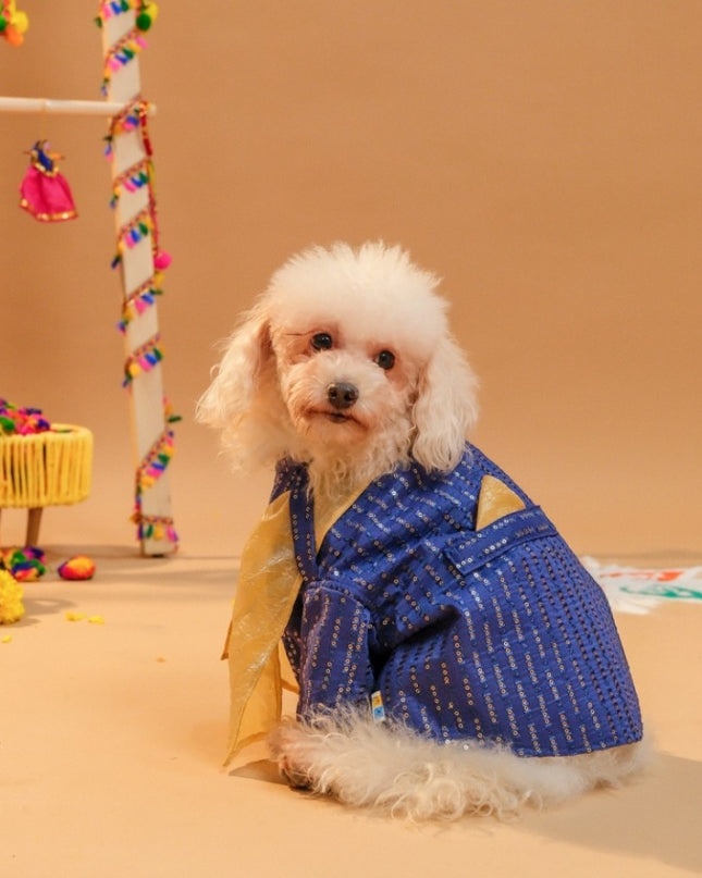 FURWALI FESTIVE DOG KURTA WITH DUPATTA- ROYAL BLUE
