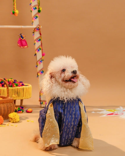 FURWALI FESTIVE DOG KURTA WITH DUPATTA- ROYAL BLUE