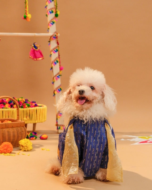 FURWALI FESTIVE DOG KURTA WITH DUPATTA- ROYAL BLUE