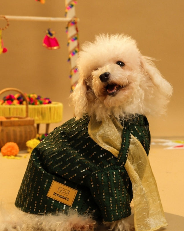 FURWALI FESTIVE DOG KURTA WITH DUPATTA- BOTTLE GREEN