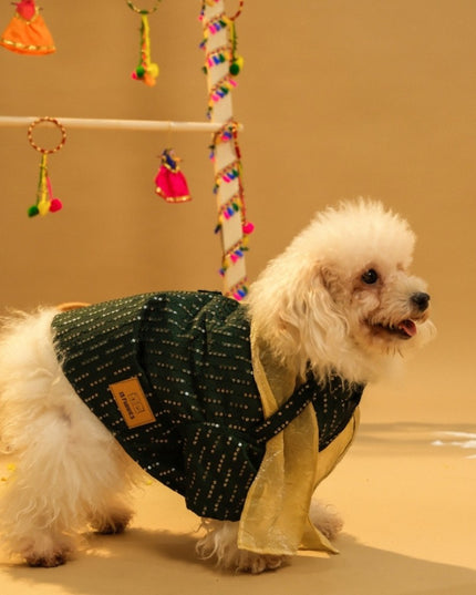 FURWALI FESTIVE DOG KURTA WITH DUPATTA- BOTTLE GREEN