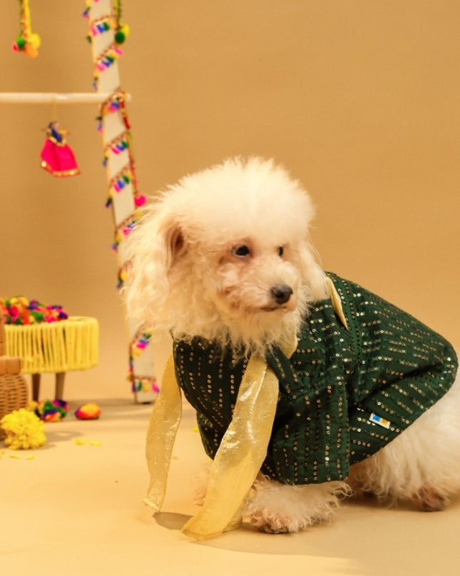 FURWALI FESTIVE DOG KURTA WITH DUPATTA- BOTTLE GREEN