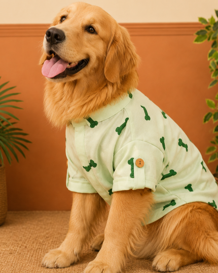 BONE EMBROIDERY DOG KURTA- MINT GREEN
