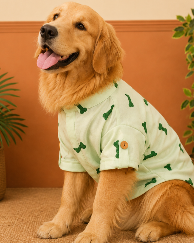 BONE EMBROIDERY DOG KURTA- MINT GREEN
