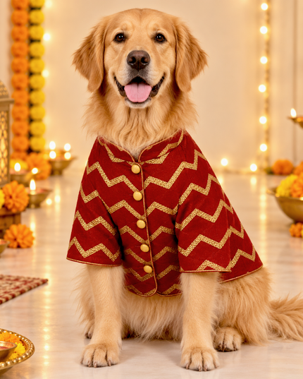 JASHN RED AND GOLD DOG SHERWANI