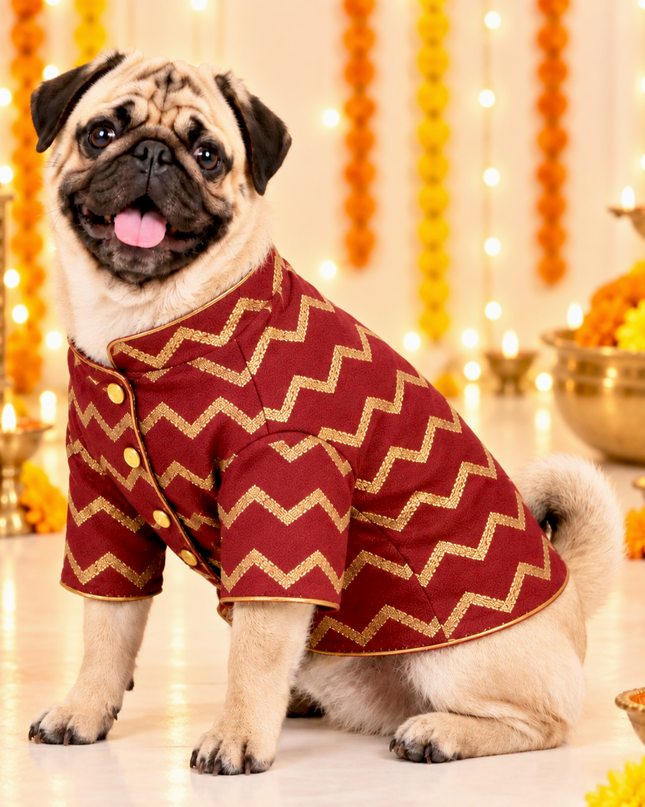 JASHN RED AND GOLD DOG SHERWANI