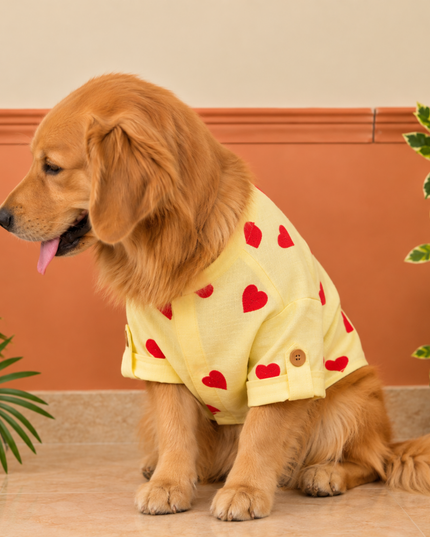 HEART EMBROIDERY DOG KURTA- LEMON YELLOW