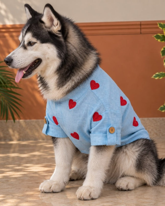 LINEN HEART EMBROIDERY DOG KURTA- BABY BLUE