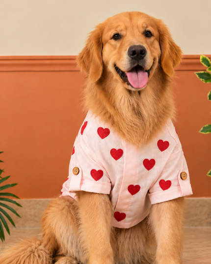 LINEN HEART EMBROIDERY DOG KURTA- BABY PINK