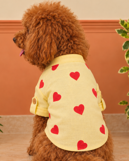 HEART EMBROIDERY DOG KURTA- LEMON YELLOW