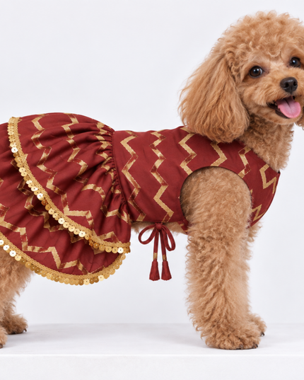 ZARI GOLD DOG LEHENGA- MAROON RED