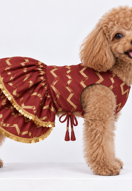 ZARI GOLD DOG LEHENGA- MAROON RED