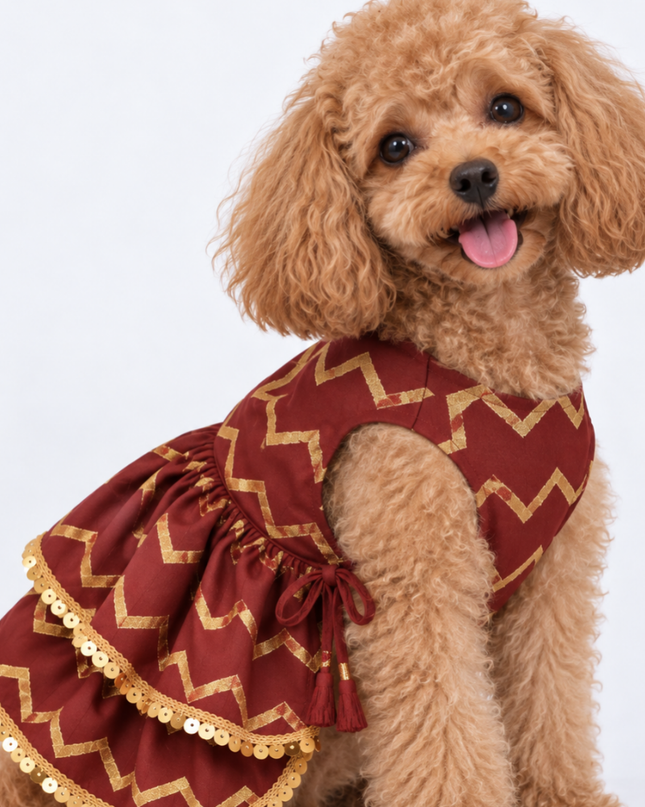 ZARI GOLD DOG LEHENGA- MAROON RED