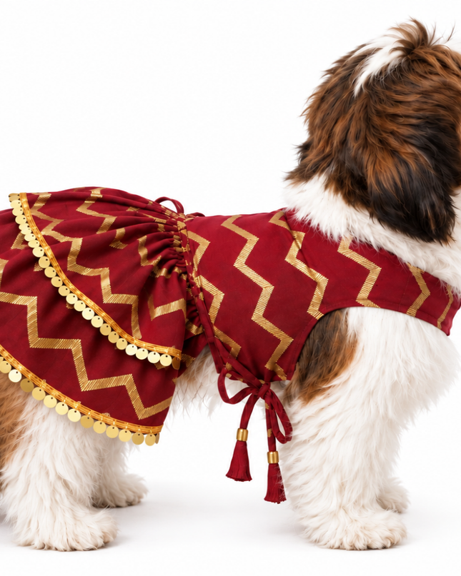 ZARI GOLD DOG LEHENGA- MAROON RED