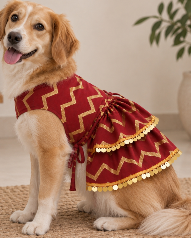 ZARI GOLD DOG LEHENGA- MAROON RED