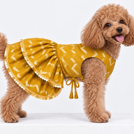 Collection image for: Dog Lehenga
