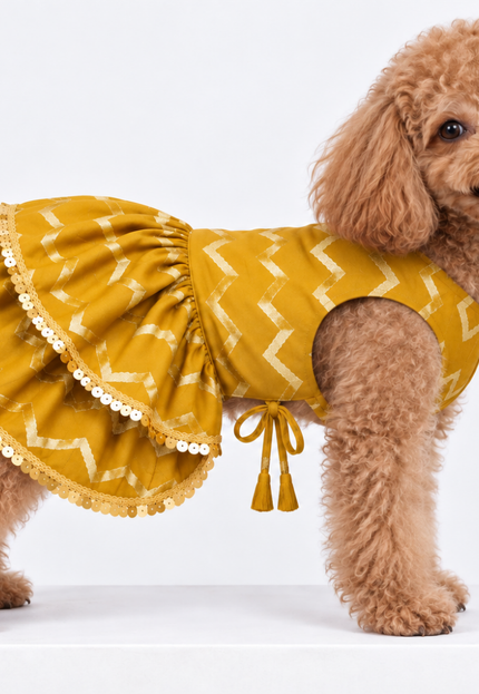 ZARI GOLD DOG LEHENGA- MUSTARD YELLOW
