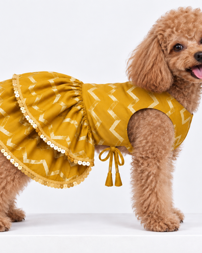 ZARI GOLD DOG LEHENGA- MUSTARD YELLOW