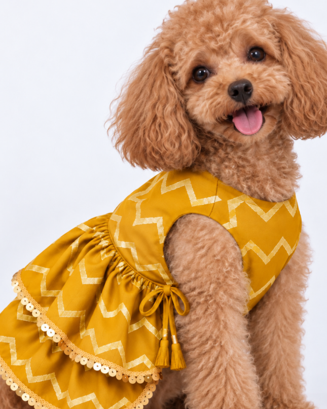 ZARI GOLD DOG LEHENGA- MUSTARD YELLOW