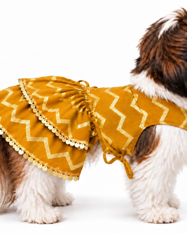 ZARI GOLD DOG LEHENGA- MUSTARD YELLOW