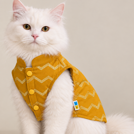 Collection image for: Cat Sherwani