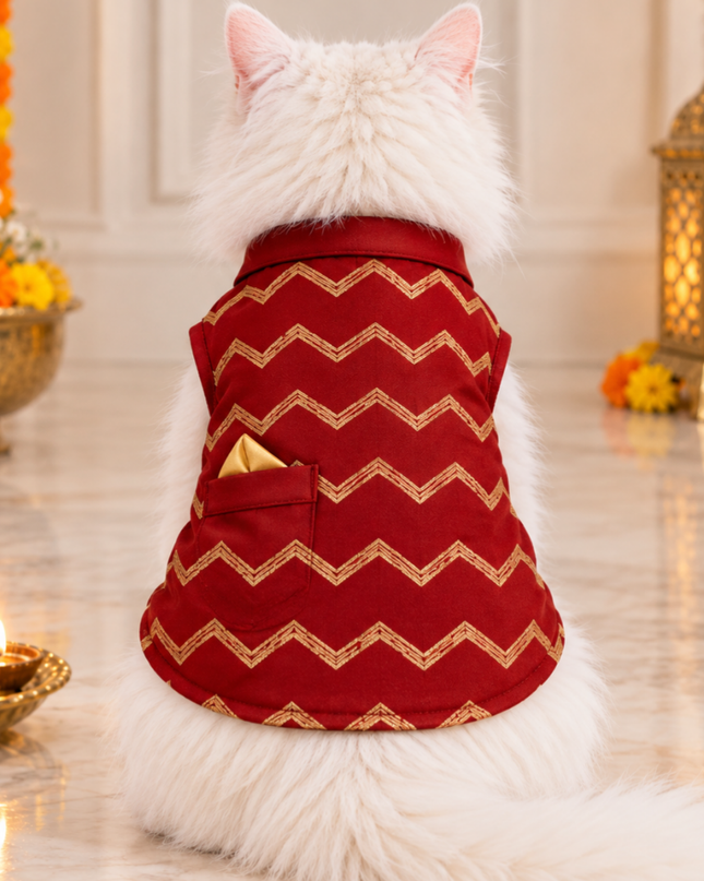 Jashn Crimson Red Cat Sherwani