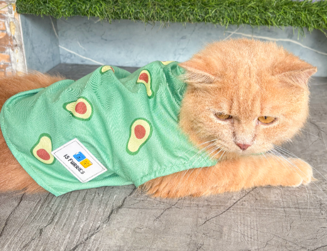 AVOCADO CAT SHIRT