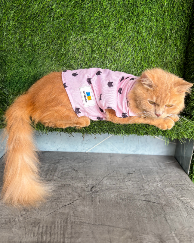 PURFECT PINK CAT SHIRT