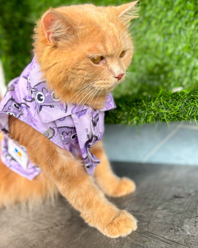 PURPLE MEOW CAT SHIRT