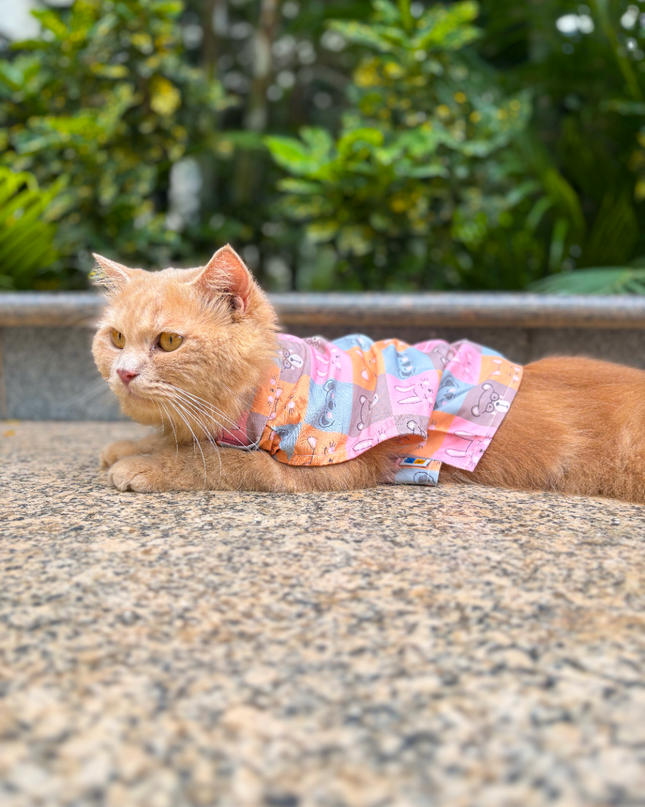 KITTY DREAMS CAT SHIRT