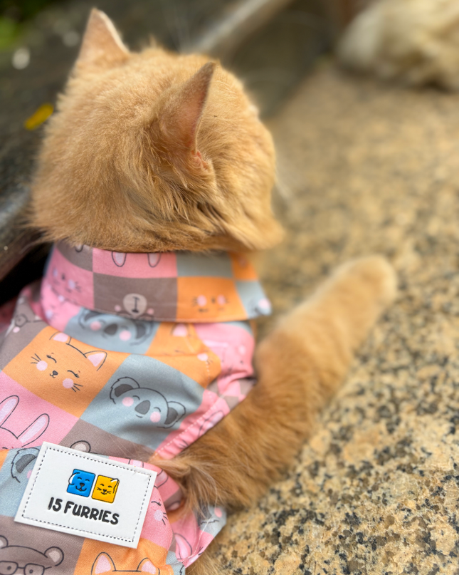 KITTY DREAMS CAT SHIRT