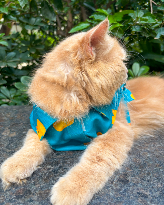 LITTLE DUCKLING CAT SHIRT