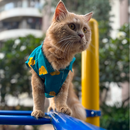 Collection image for: Cat Shirts