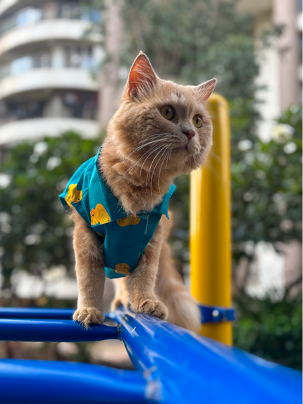 LITTLE DUCKLING CAT SHIRT