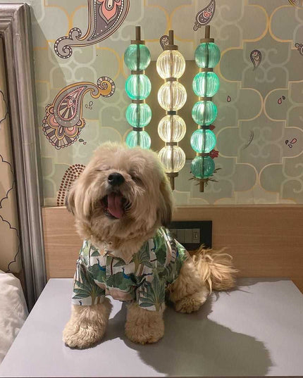 Udaipur Dog Shirt