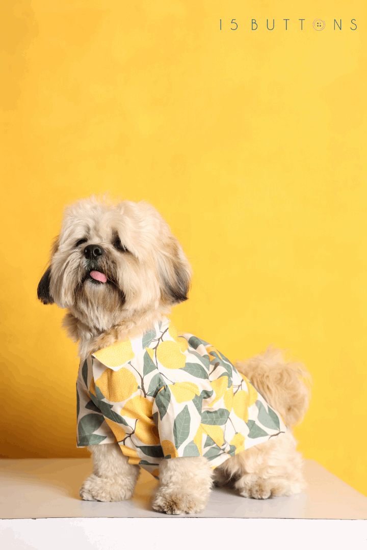 Limon Dog Shirt