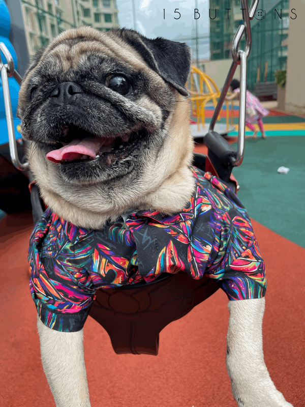 Neon Tropical Dog Shirt