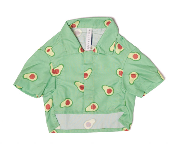 AVOCADO CAT SHIRT