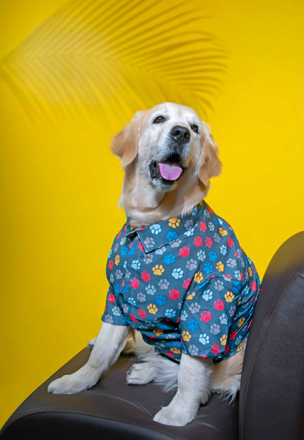Pawsome Dog Shirt