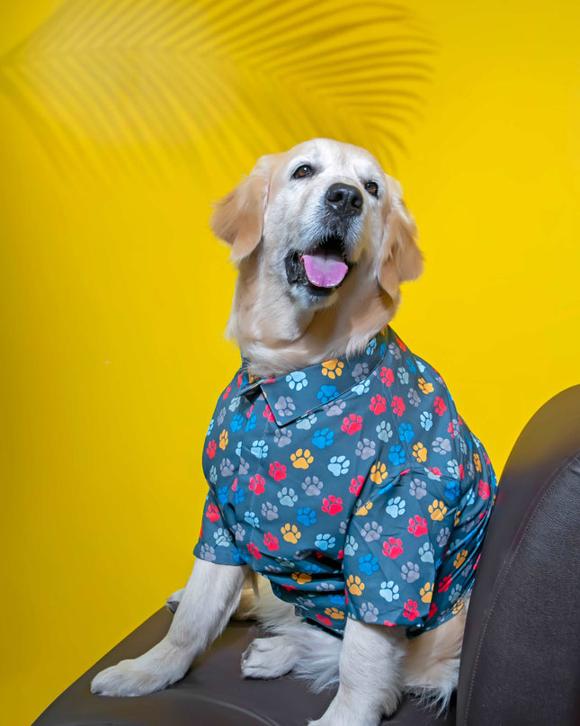 Pawsome Dog Shirt
